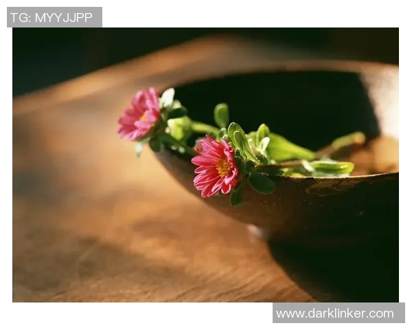何思雨：在纷繁世界中追寻内心的宁静与真实自我