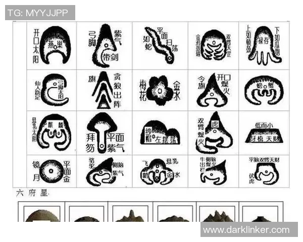 山形大山与金泽塞的精彩对决前瞻与赛果预测分析