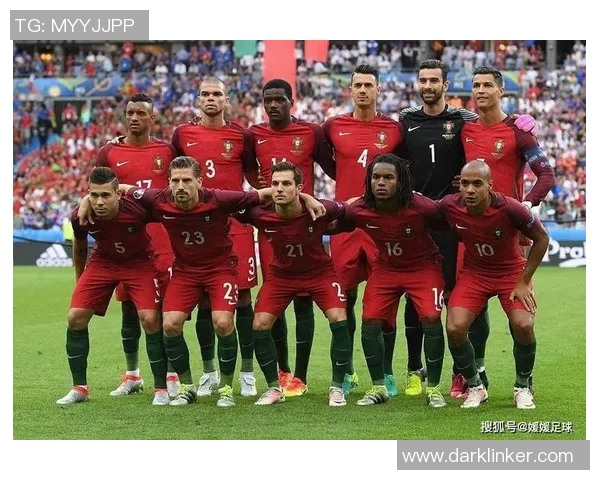 新西兰与葡萄牙足球对决全方位分析及赛前预测