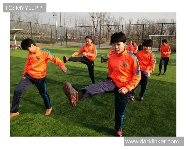 群马雷鹤主场迎战福冈队全力争胜展现球队实力与决心