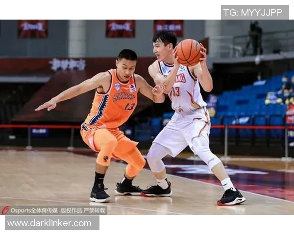 2015年重庆与深圳精彩对决直播视频回顾及赛后分析 2015年重庆与深圳精彩对决直播视频回顾及赛后分析